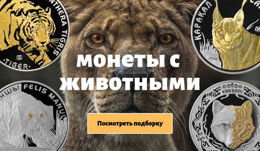 Подборка с животными